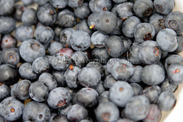 Blueberries_2